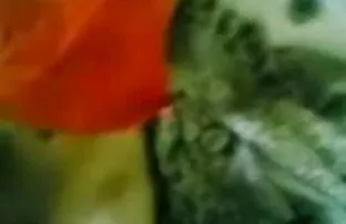 सुडौल ब्लू बीपी सेक्सी शिनोबू मिजुशिमा को तब तक पकड़ा जाता है जब तक वह