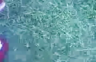 वसा गधा नंगा बीपी सेक्सी हिंदी ब्लू पिक्चर नाच
