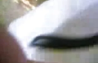 हॉट Busty Milf गर्म बीपी सेक्सी पिक्चर बीपी सेक्सी lapdance
