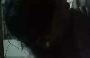 भरा बीपी पिक्चर दिखाइए सेक्सी मुँह! -