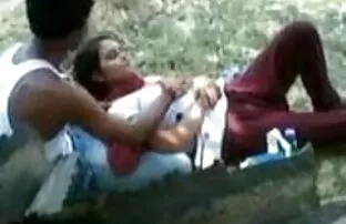 पुरुष सेक्सी फिल्म बीपी वीडियो मुर्गा की खोज