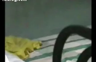 किशोर गेमर पहली बार रिमोट बीपी सेक्सी व्हिडिओ पिक्चर नियंत्रित वाइब्रेटर के साथ खेलता है