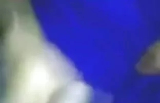 मेरे सेक्सी हिंदी बीपी पिक्चर मुर्गा चूसना या मैं पुलिस को फोन करता हूँ!