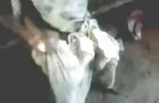 स्वादिष्ट श्यामला ब्लू बीपी सेक्सी ब्लू गुड़िया खुद के साथ खेलता है
