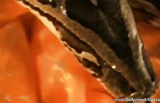 अभ्यास परिपूर्ण बीपी सेक्सी हिंदी मूवी बनाओ