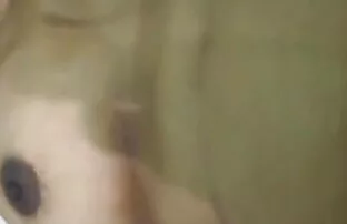 फिलिपिनो वह सेक्सी ओपन बीपी फिल्म नीचे स्ट्रिप्स और बालों वाली लड़की रॉड