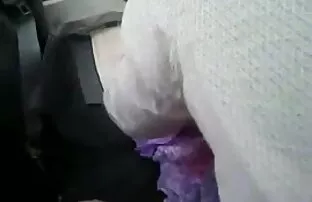 यूरोपीय, छोटे बीपी पिक्चर दिखाइए सेक्सी स्तन के साथ बकवास करने के लिए तैयार है