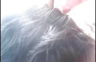 चार lesbian hotties एक दूसरे का पता लगाने बीपी सेक्सी पिक्चर दिखाओ pussies