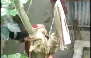 फ्लोरिडा, चेरी लेह रसोई घर के एक्स बीपी पिक्चर काम करने के लिए प्यार करता है